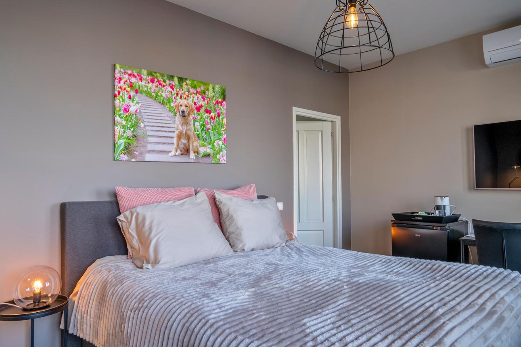 Bed & Breakfast Liv Hillegom
